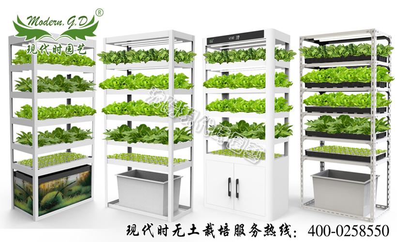 家用無土栽培設備