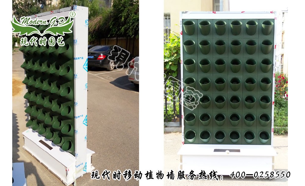 植物景觀墻