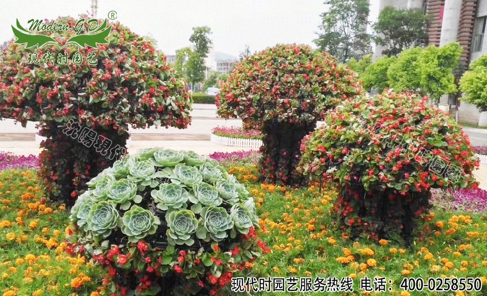 市政綠化景觀花球