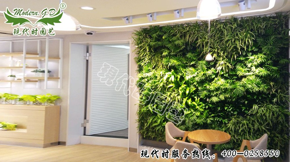 植物景墻