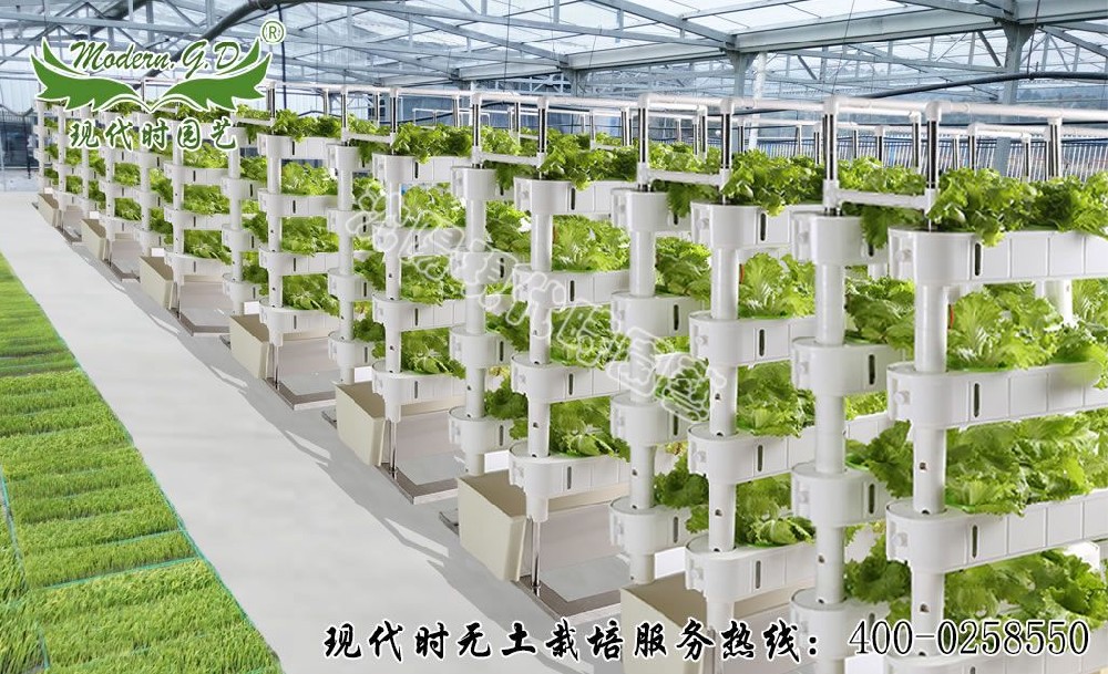 無土栽培設施設備