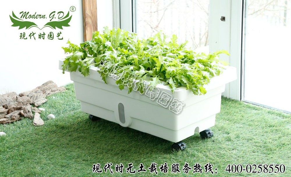 無土栽培種菜設備