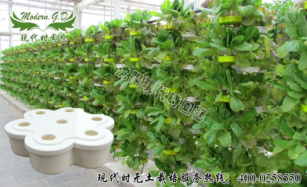 無土栽培蔬菜設備