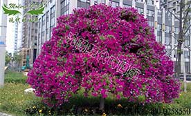 市政綠化園藝花柱