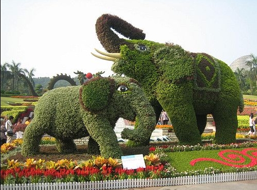 ���w�G��