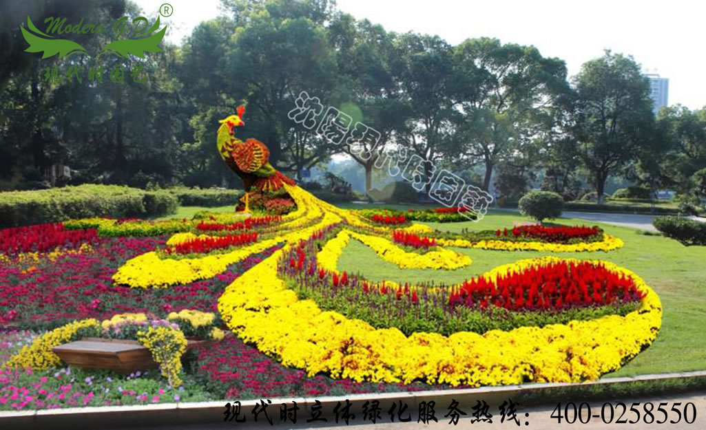 ���w����