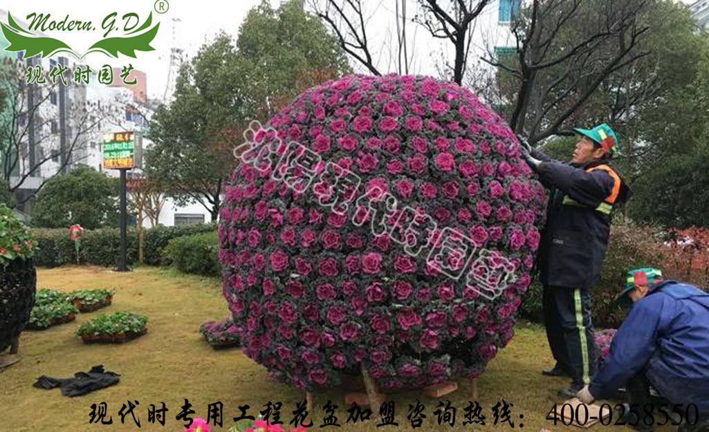 ����ϵ��