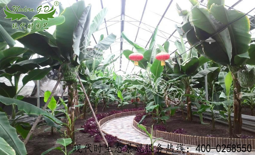 �^���r�I�@