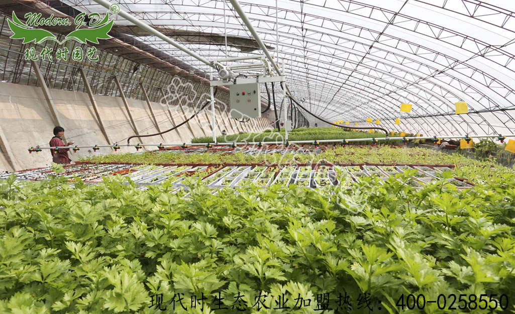 自動(dòng)節(jié)水灌溉