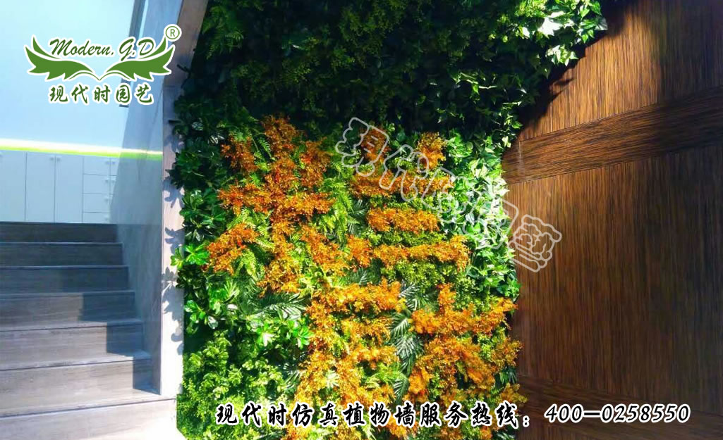 �������B��