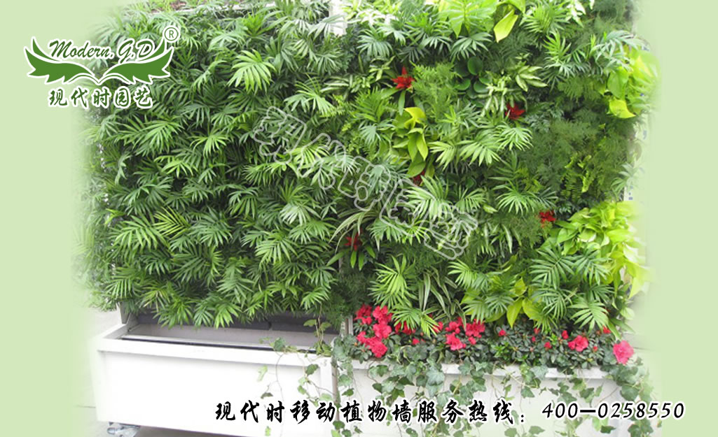 �҃��Ƅ�ֲ�