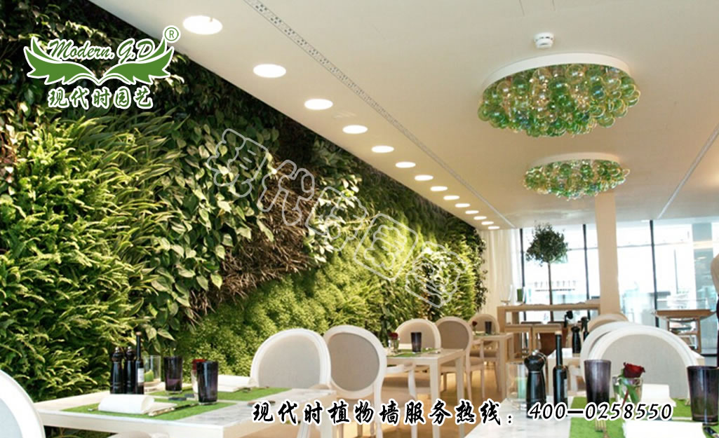 �o��ʽֲ�