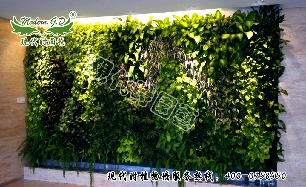 �o��ֲ� �Gֲ��