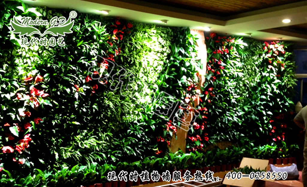 �o��ֲ� ���B��