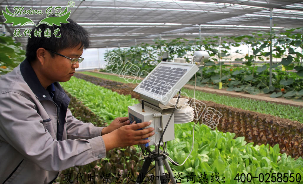 �r�I���W