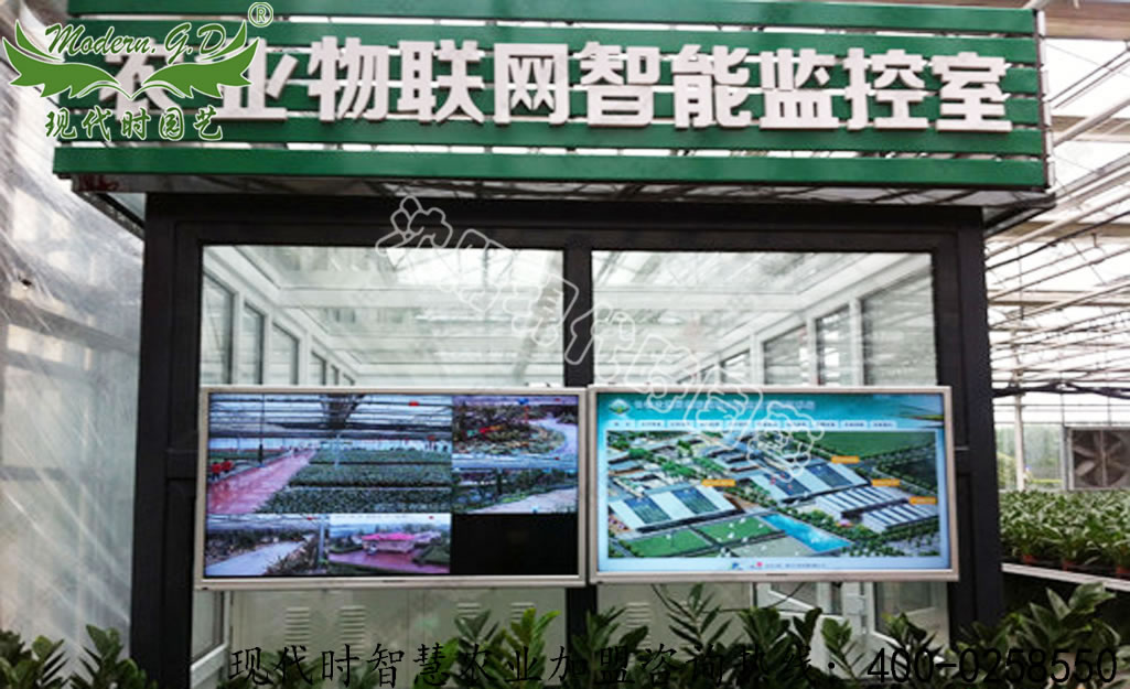 �r�I���W