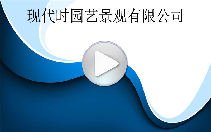 ��˾Ԕ����B